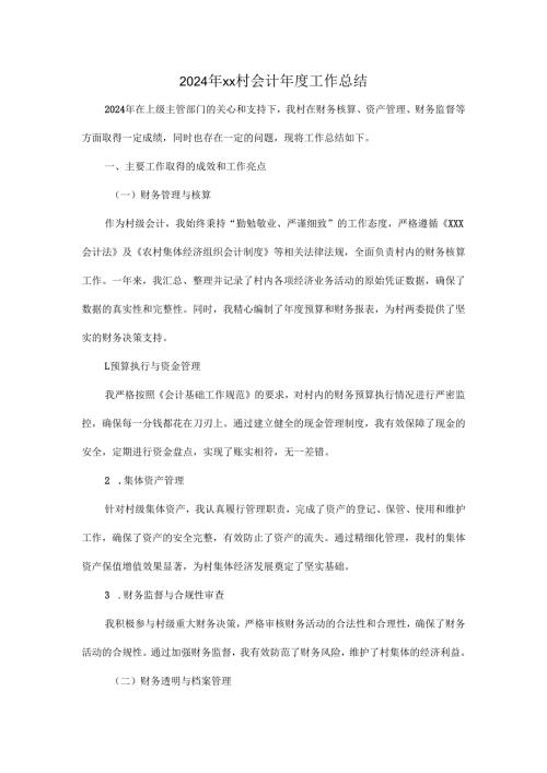 2024年xx村会计工作总结.docx