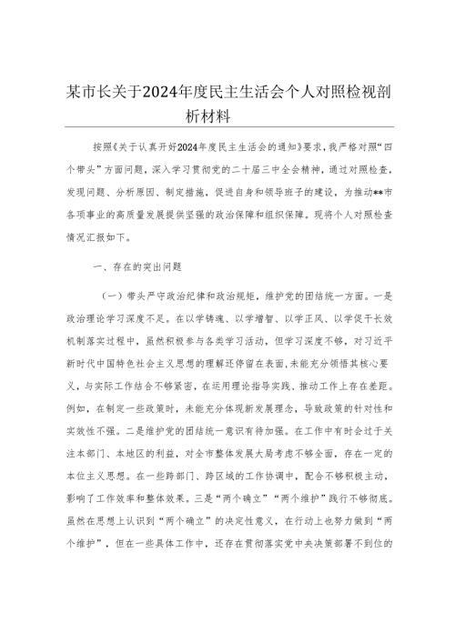 某市长关于2024年度民主生活会个人对照检视剖析材料.docx