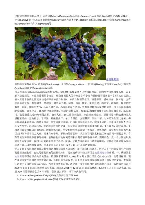 比较常见的红葡萄品种.docx