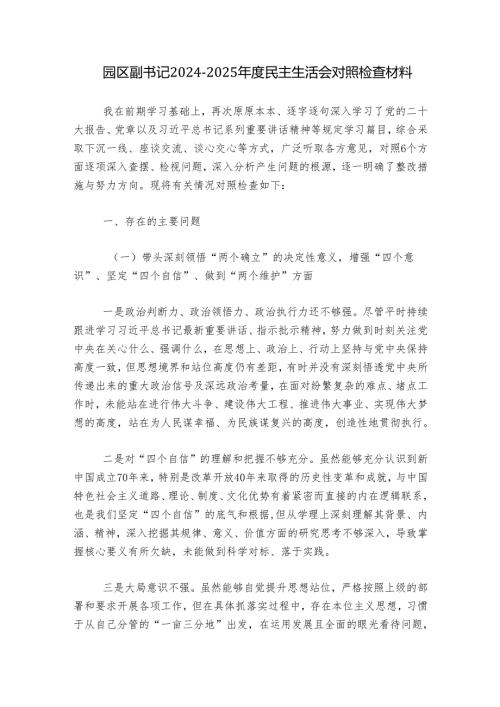 园区副书记20242025民主生活会对照检查材料.docx