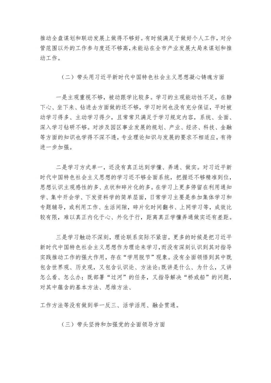 园区副书记20242025民主生活会对照检查材料.docx_第2页