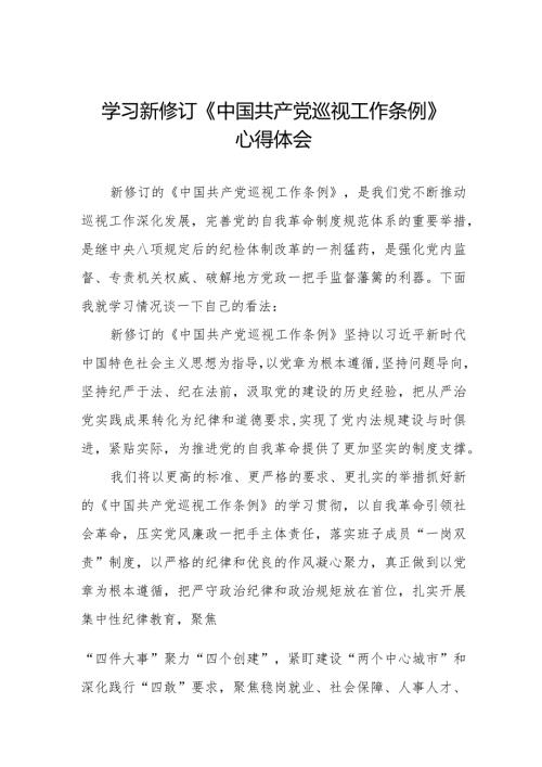 学习中国共产党巡视工作条例2024版心得体会(五篇).docx