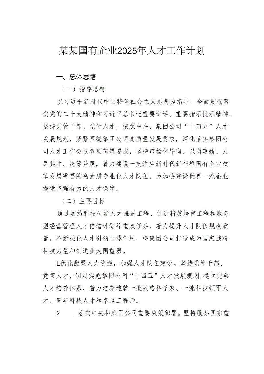 某某国有企业2025年人才工作计划.docx_第1页