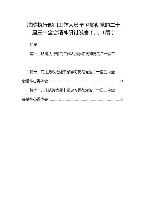 （11篇）法院执行部门工作人员学习贯彻党的二十三中全会精神研讨发言（详细版）.docx