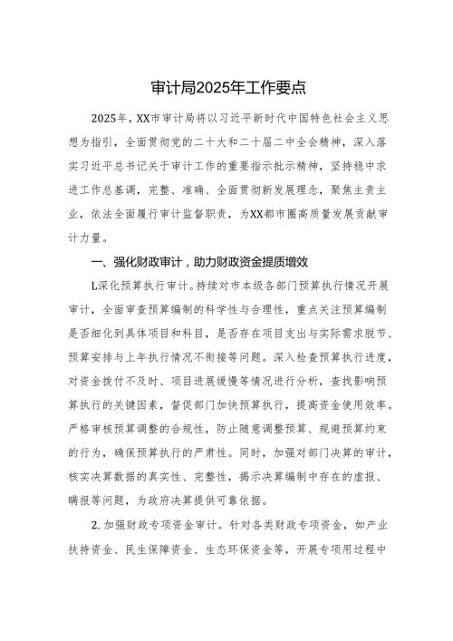 审计机关2025年工作要点范文.docx