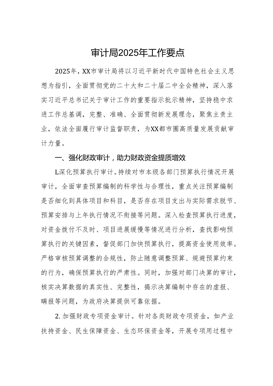 审计机关2025年工作要点范文.docx_第1页