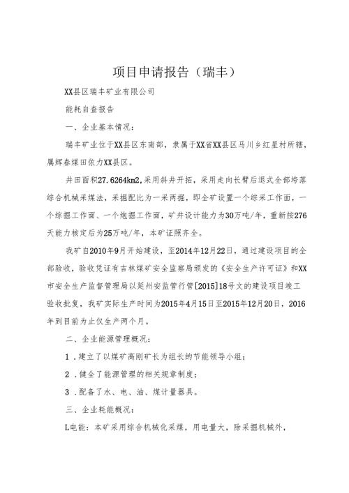 项目申请报告(瑞丰)1.docx