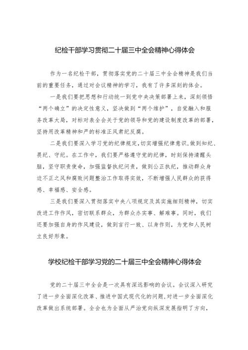 （9篇）纪检干部学习贯彻二十三中全会精神心得体会范文.docx