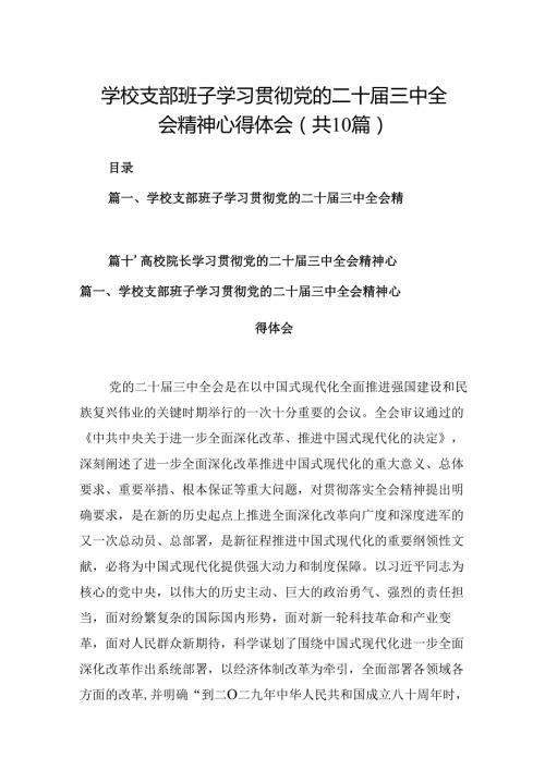学校支部班子学习贯彻党的二十三中全会精神心得体会10篇（详细版）.docx