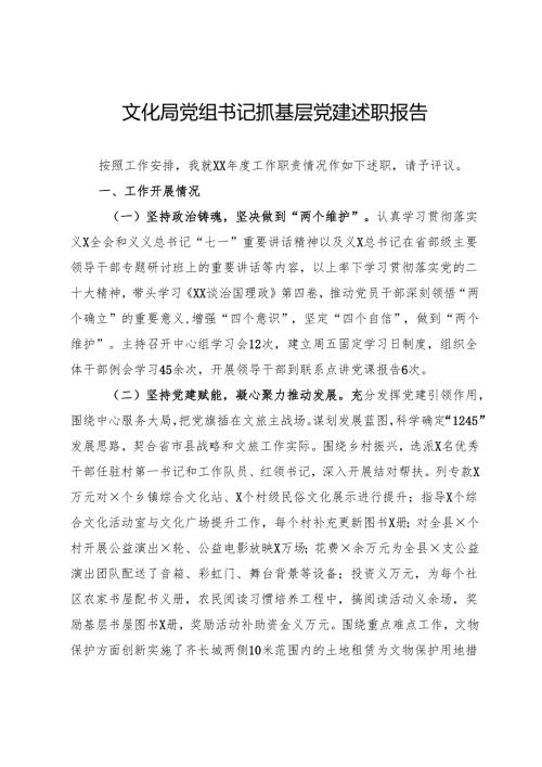 文化局党组书记抓基层党建述职报告.docx