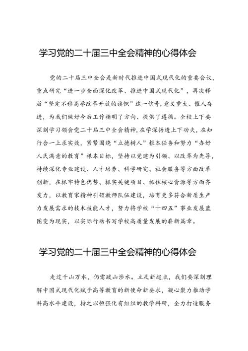(精选)学习2024年党的二十三中全会精神的心得体会31篇.docx