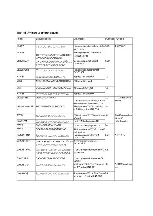 Primers used for this study.docx