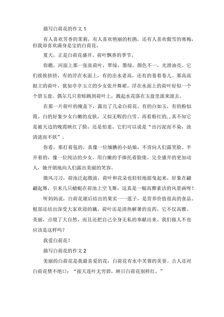 描写白荷花的作文2篇.docx_第1页