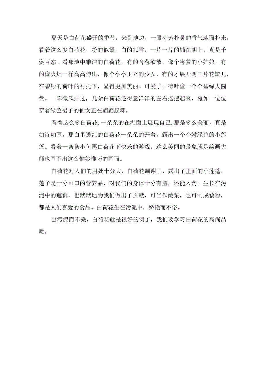 描写白荷花的作文2篇.docx_第2页