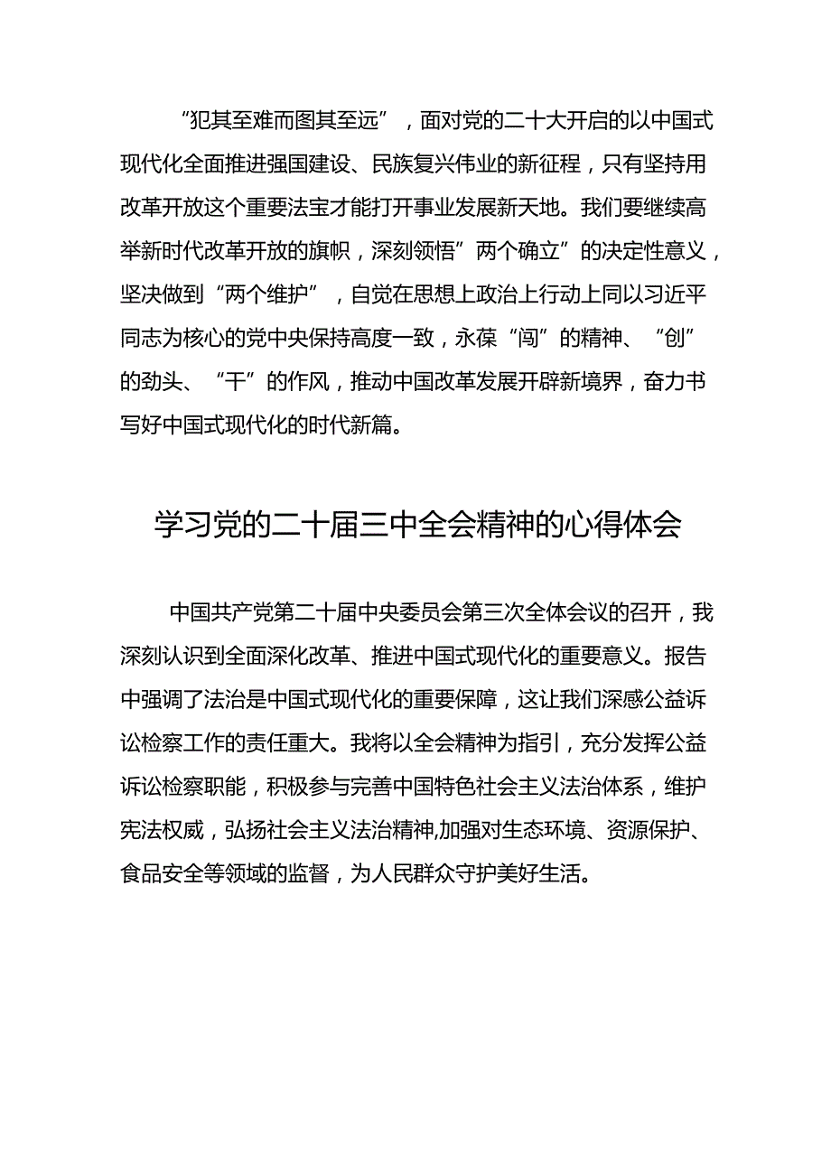 2024年学习党的二十三中全会精神的心得感悟简要发言50篇.docx_第2页