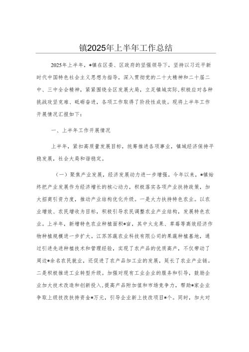 镇2025年上半年工作总结.docx