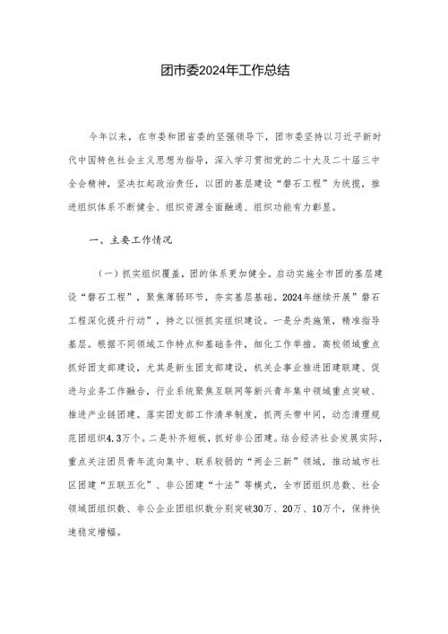 团市委2024年工作总结.docx