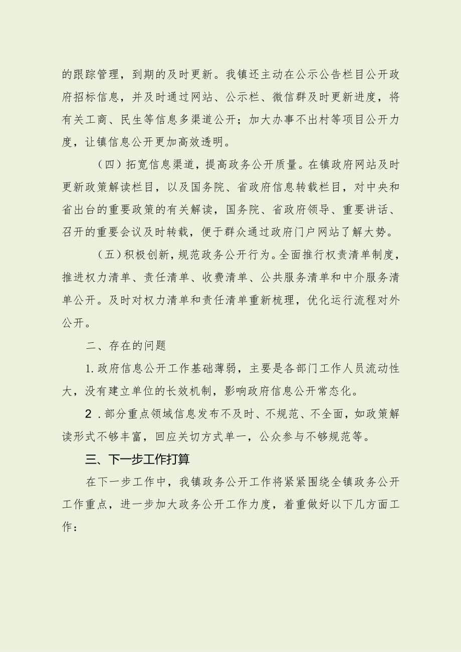 乡镇政务公开工作交流发言稿（最新分享）.docx_第2页
