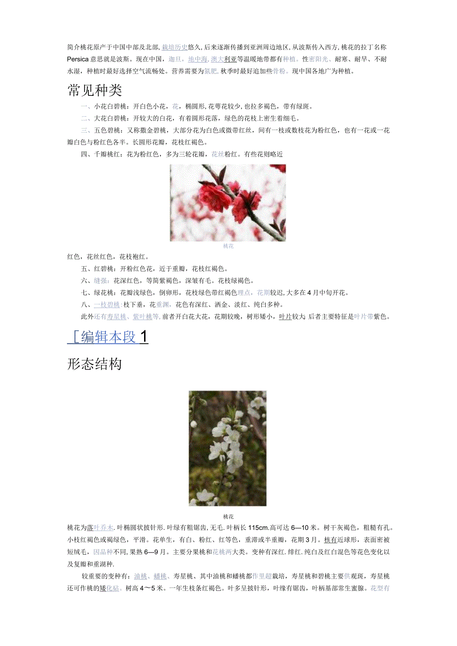 《中国药典》桃花.docx_第1页