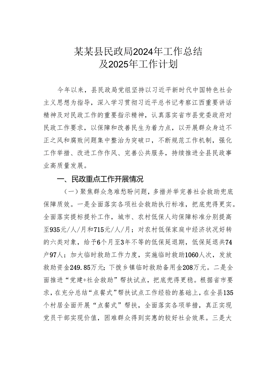 某某县民政局2024年工作总结及2025年工作计划.docx_第1页