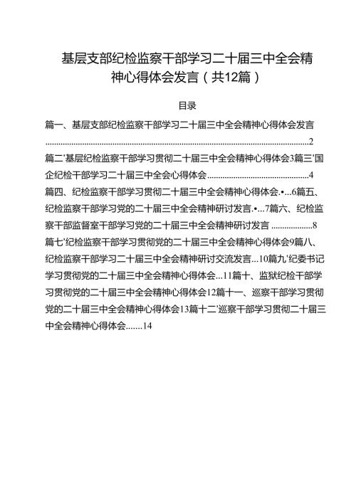 基层支部纪检监察干部学习二十三中全会精神心得体会发言12篇（详细版）.docx