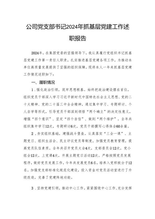 公司党支部书记2024年抓基层党建工作述职报告(1).docx