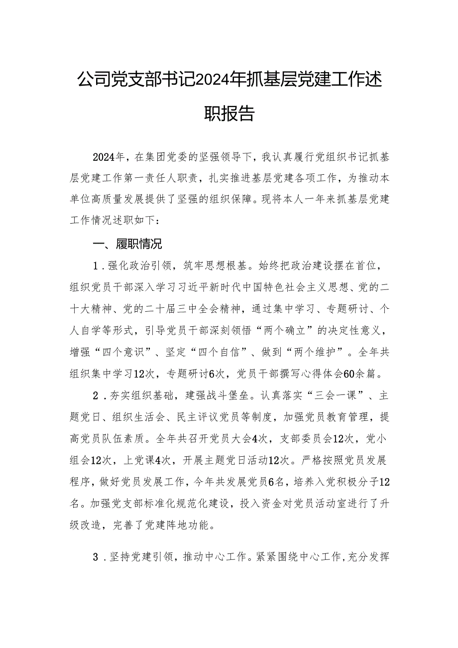 公司党支部书记2024年抓基层党建工作述职报告(1).docx_第1页