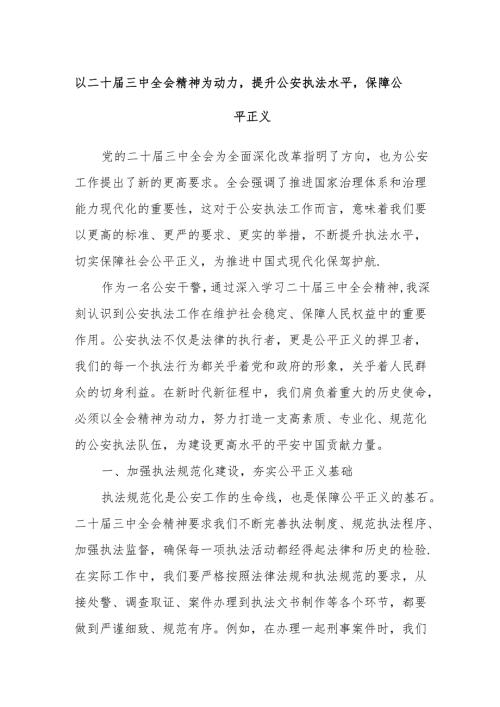以二十三中全会精神为动力提升公安执法水平保障公平正义.docx