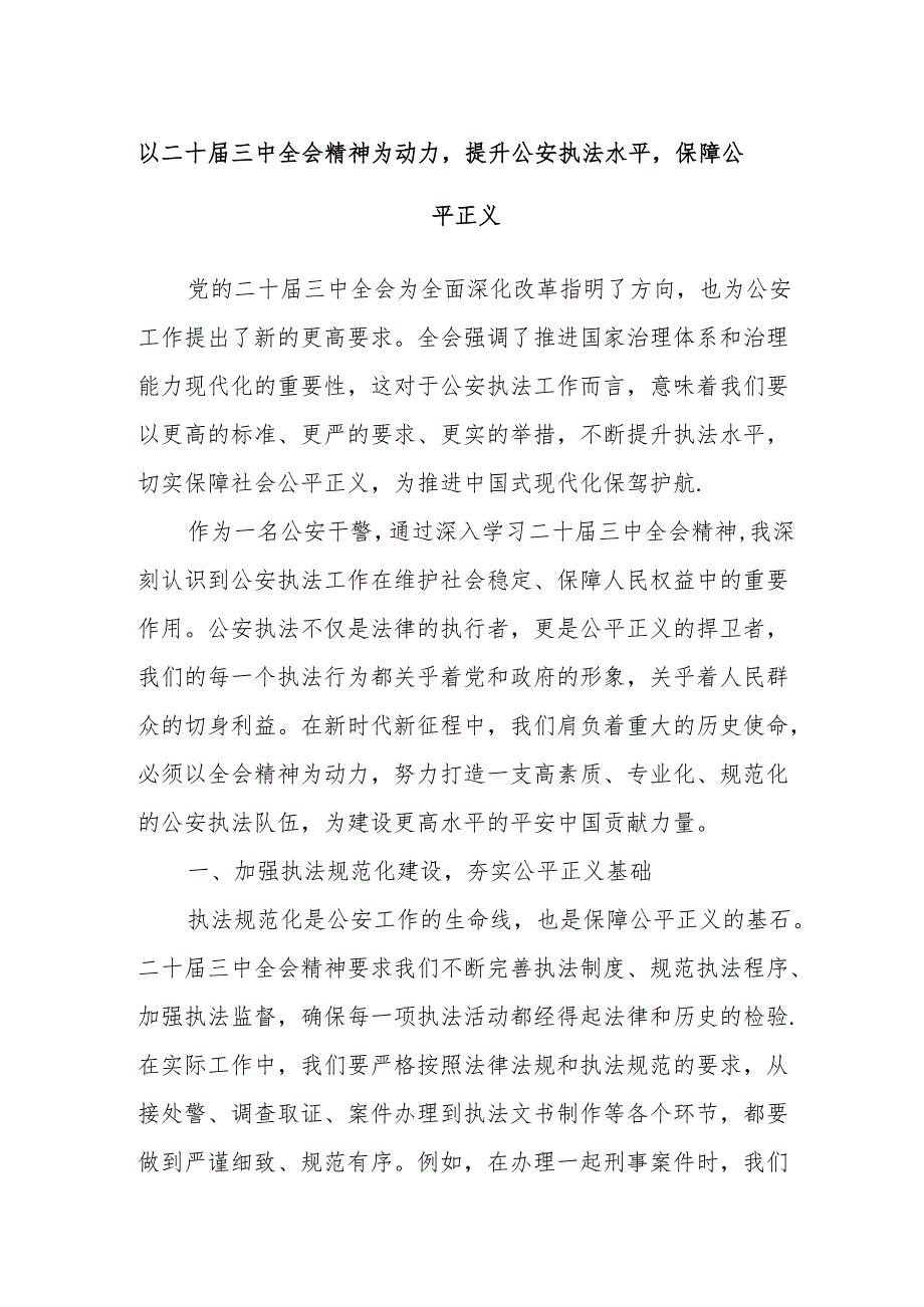 以二十三中全会精神为动力提升公安执法水平保障公平正义.docx_第1页