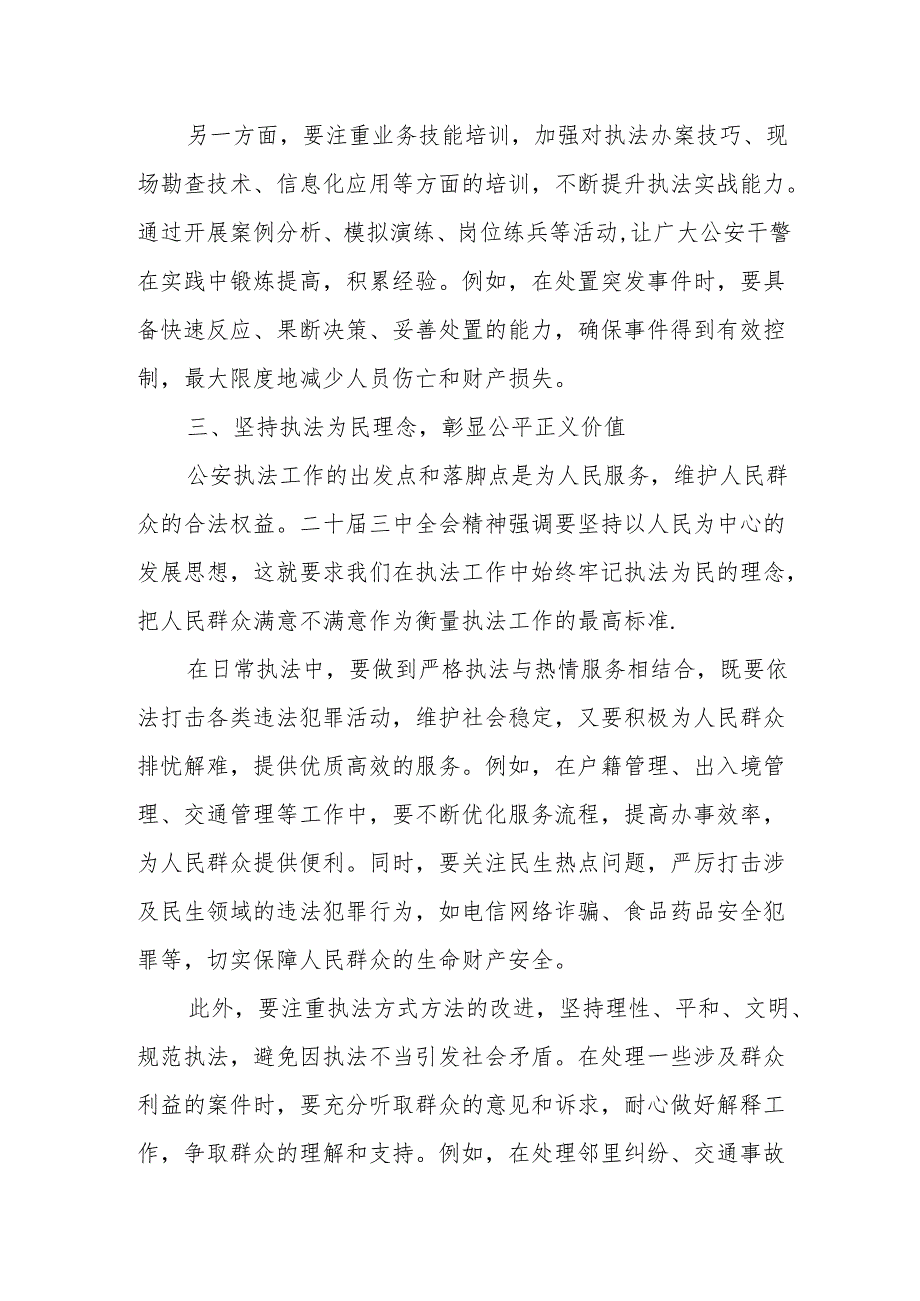 以二十三中全会精神为动力提升公安执法水平保障公平正义.docx_第3页
