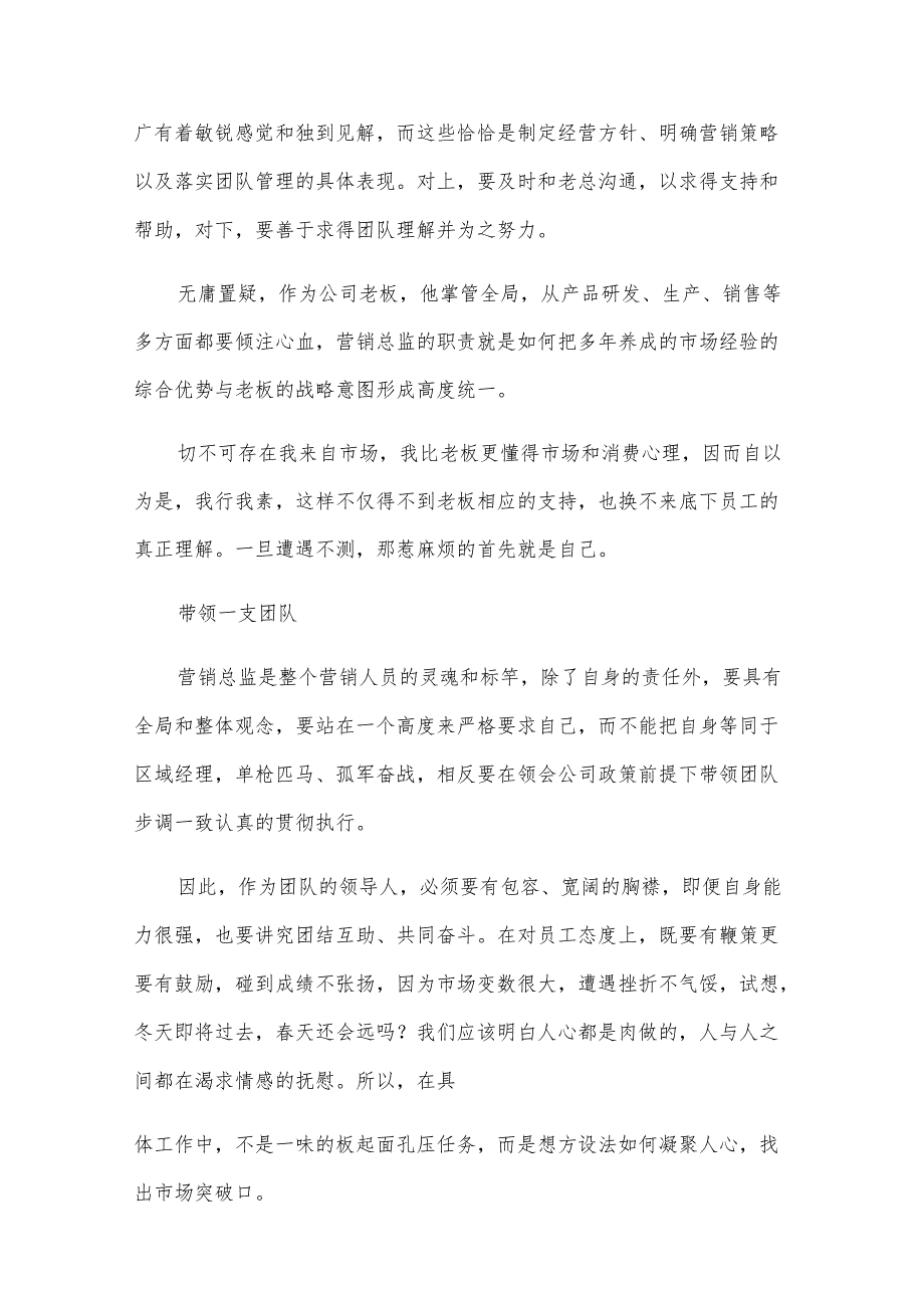 2024营销总监工作总结范文（22篇）.docx_第2页
