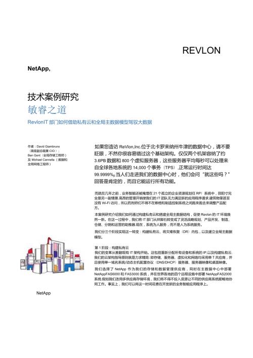 Net 客户案例 RevlonTechCaseStudyzhCNHI.docx