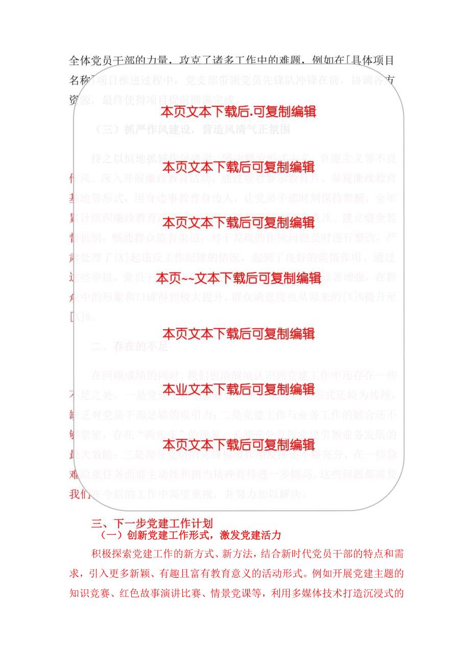 2024党建工作总结及下一步计划.docx_第3页