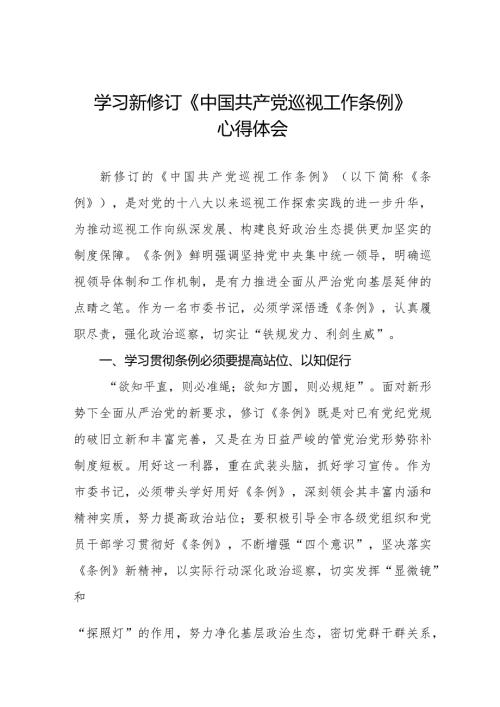 2024版新修订《中国共产党巡视工作条例》学习心得体会(五篇).docx