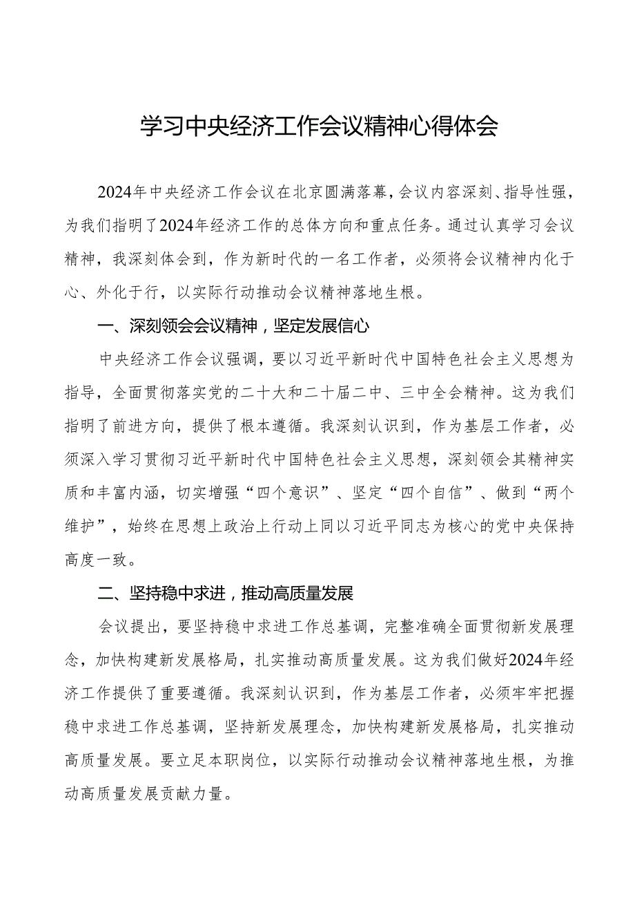 党员干部学习贯彻2024年中央经济工作会议精神心得体会发言稿十篇.docx_第1页