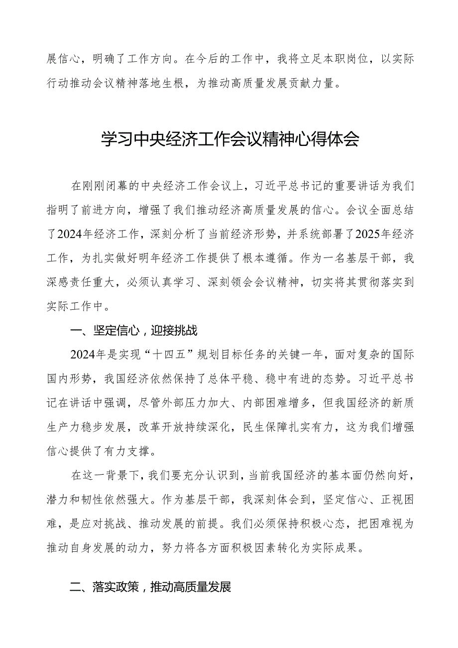 党员干部学习贯彻2024年中央经济工作会议精神心得体会发言稿十篇.docx_第3页