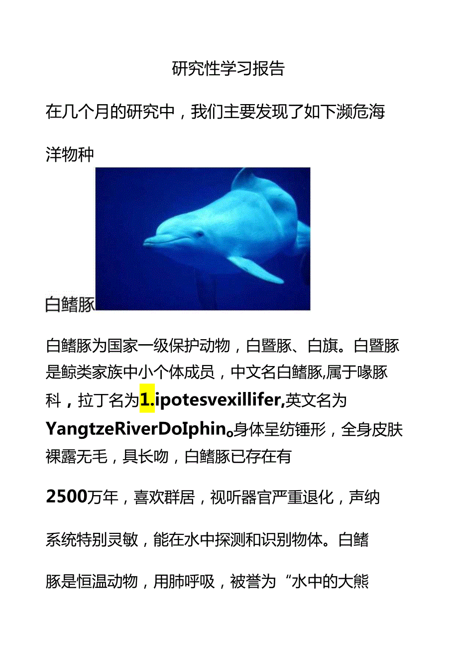 研究性学习报告濒危海洋动物.docx_第1页