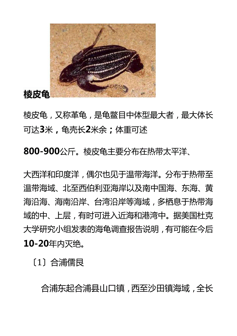 研究性学习报告濒危海洋动物.docx_第3页