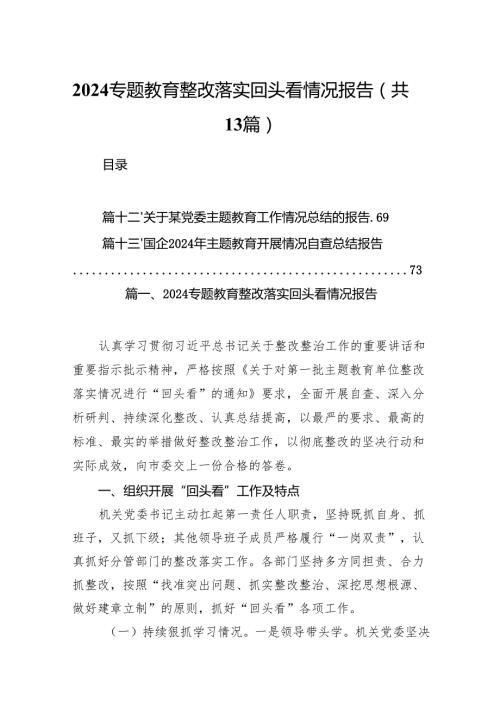 专题教育整改落实回头看情况报告范文精选(13篇).docx