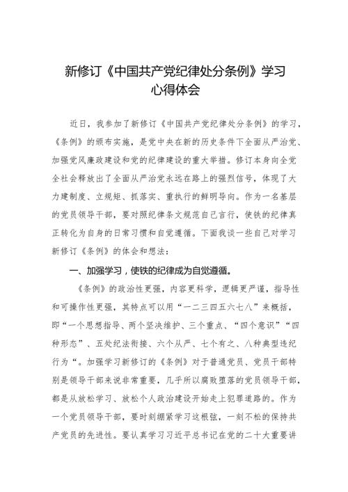 2024版新修订中国共产党纪律处分条例专题培训发言材料11篇.docx