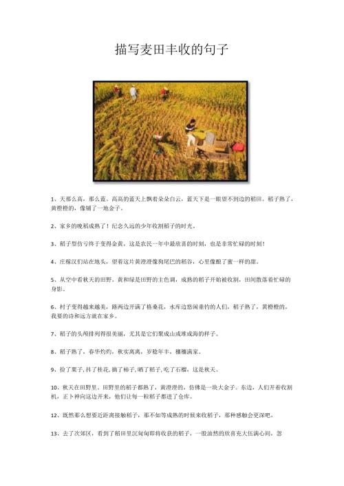 描写麦田丰收的句子.docx
