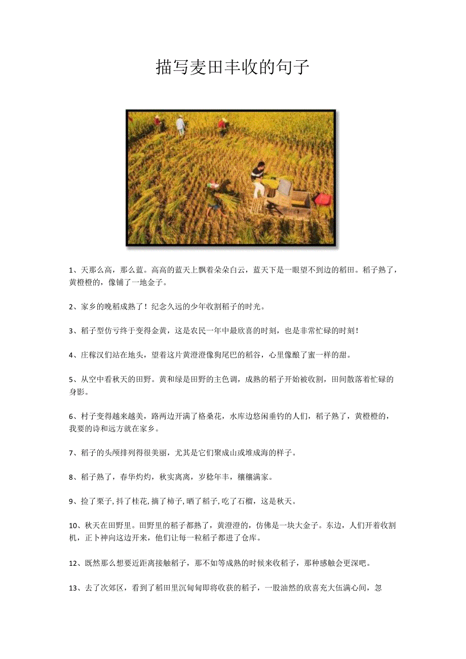 描写麦田丰收的句子.docx_第1页