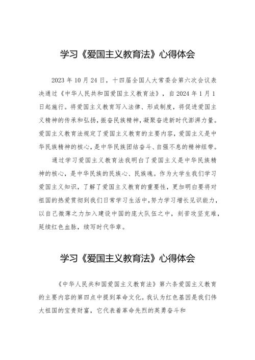 《爱国主义教育法》心得体会优秀范文17篇.docx