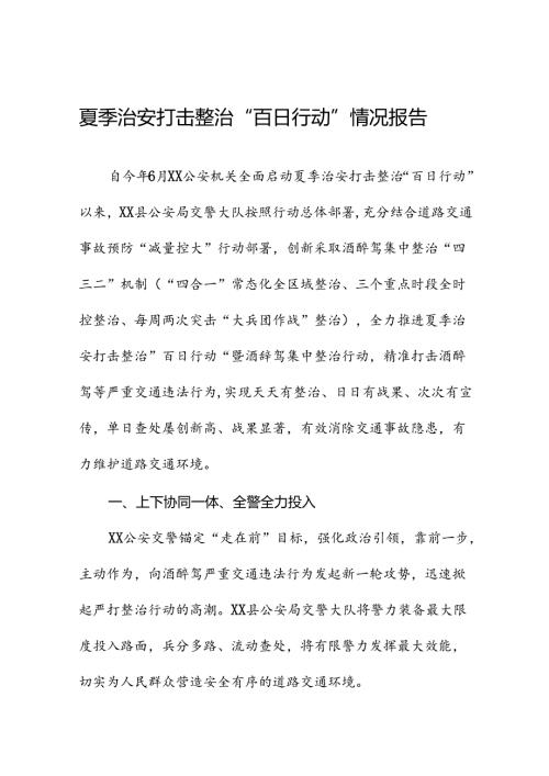 十二篇公安2024年夏季治安打击整治“百日行动”情况总结报告(1).docx