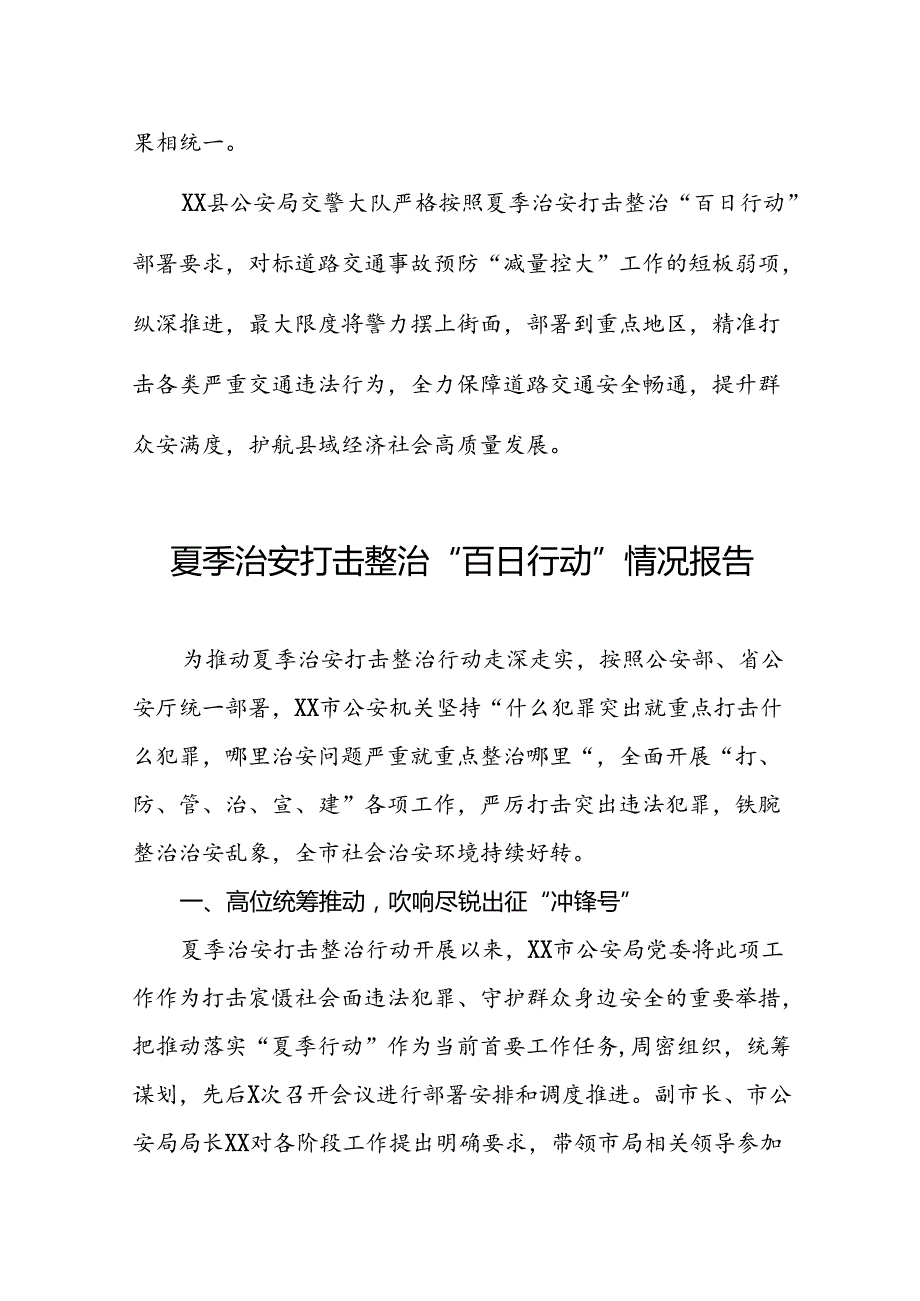 十二篇公安2024年夏季治安打击整治“百日行动”情况总结报告(1).docx_第3页