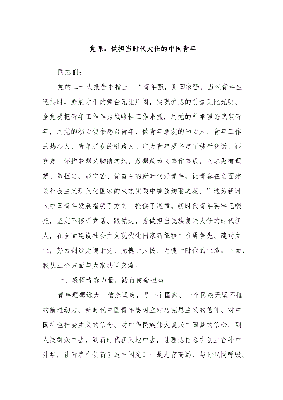党课：做担当时代大任的中国青年.docx_第1页