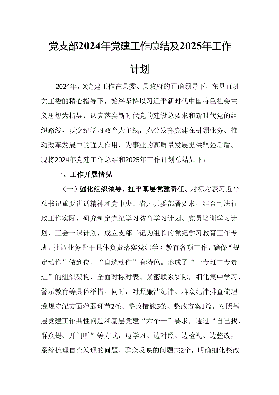 党支部2024年党建工作总结及2025年工作计划.docx_第1页
