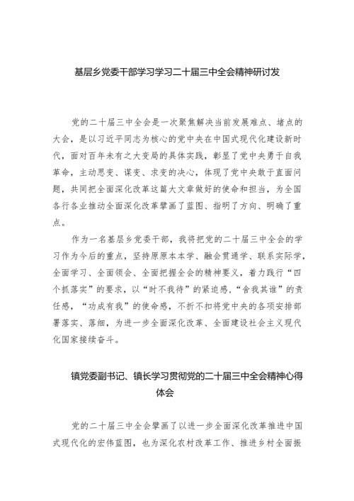 （9篇）基层乡党委干部学习学习二十三中全会精神研讨发言（详细版）.docx