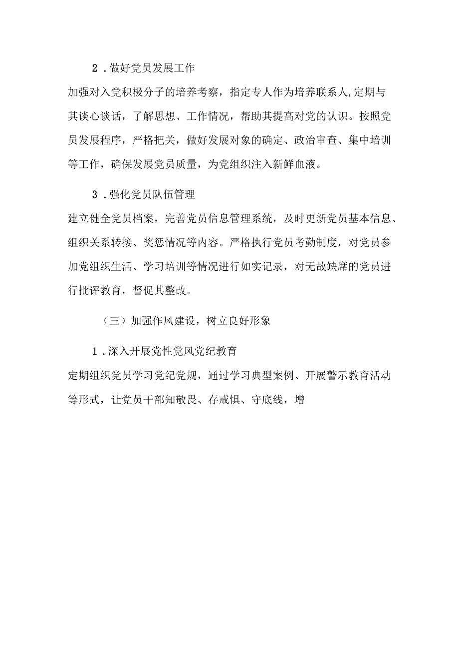 2025党支部工作计划方案（精选）.docx_第3页