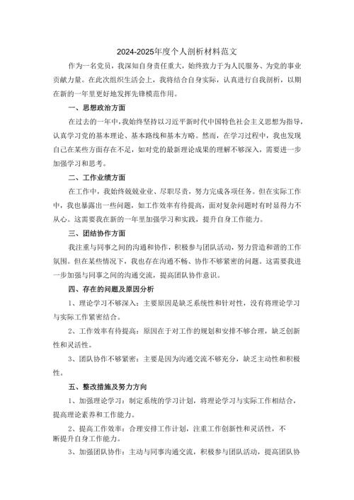 20242025个人剖析材料范文一.docx